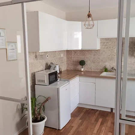 Daire Verriere & Parement En Centre-ville Épinal