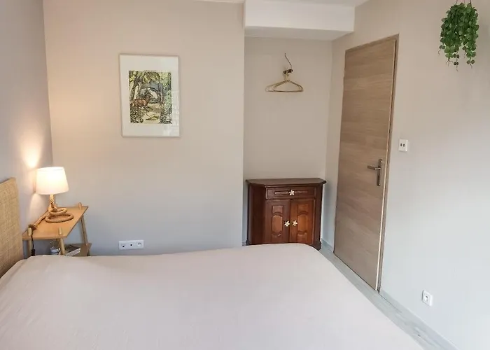 Verriere & Parement En Centre-ville * Épinal