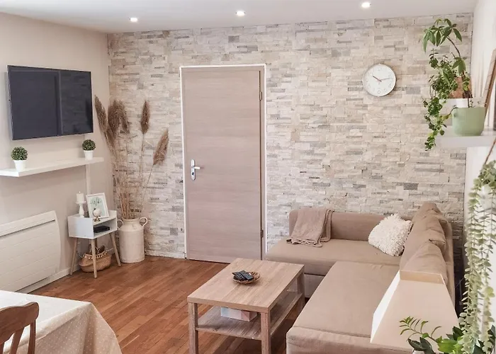 Verriere & Parement En Centre-ville Apartmán