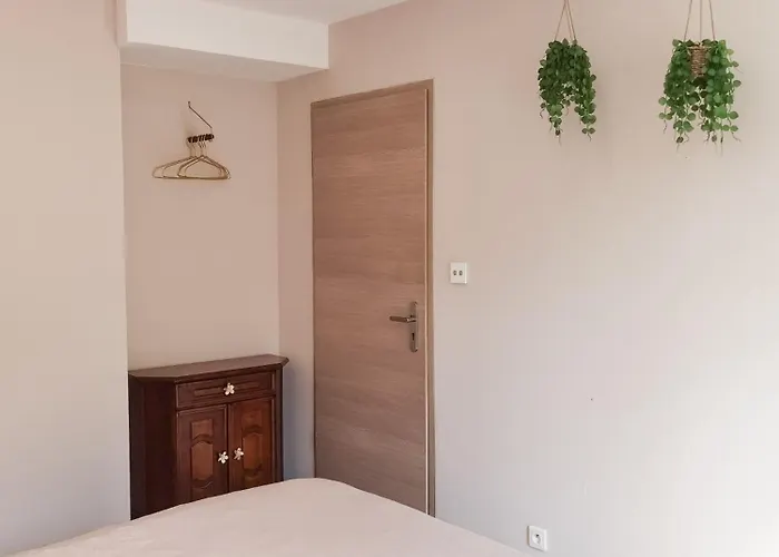 Verriere & Parement En Centre-ville Lejlighed *